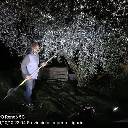 Agriturismo Monaci Templari セボルガ エクステリア 写真