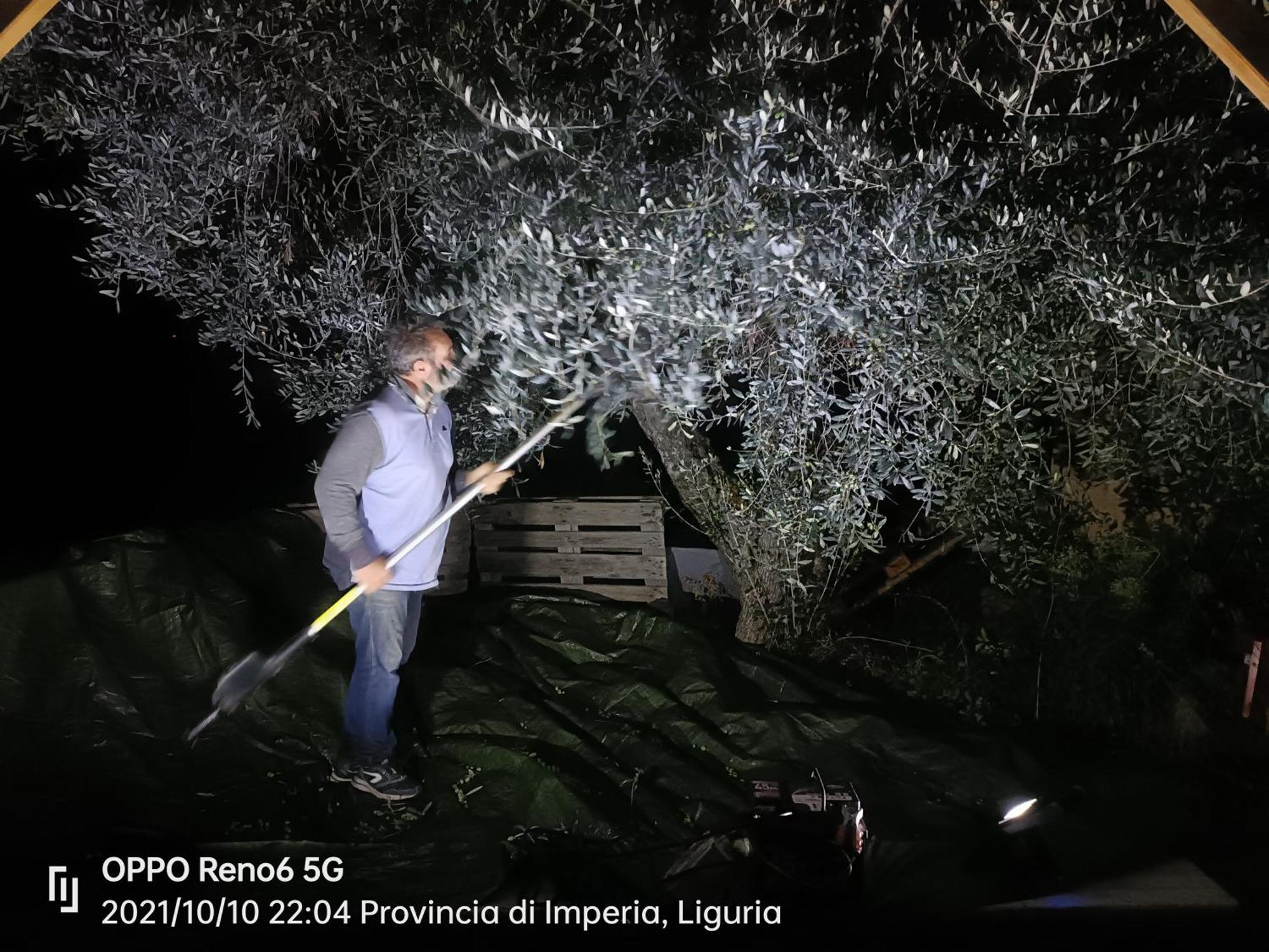 Agriturismo Monaci Templari セボルガ エクステリア 写真