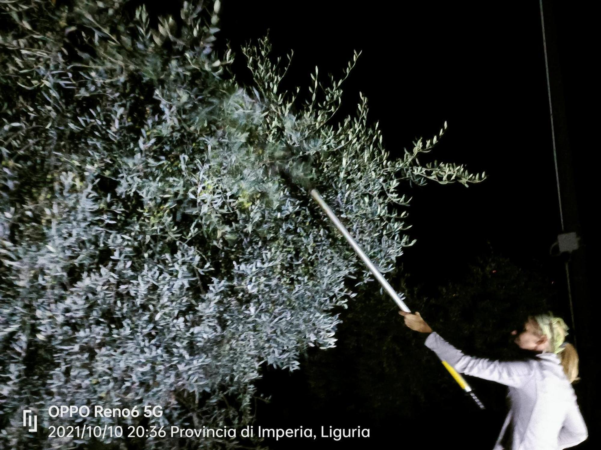 Agriturismo Monaci Templari セボルガ エクステリア 写真