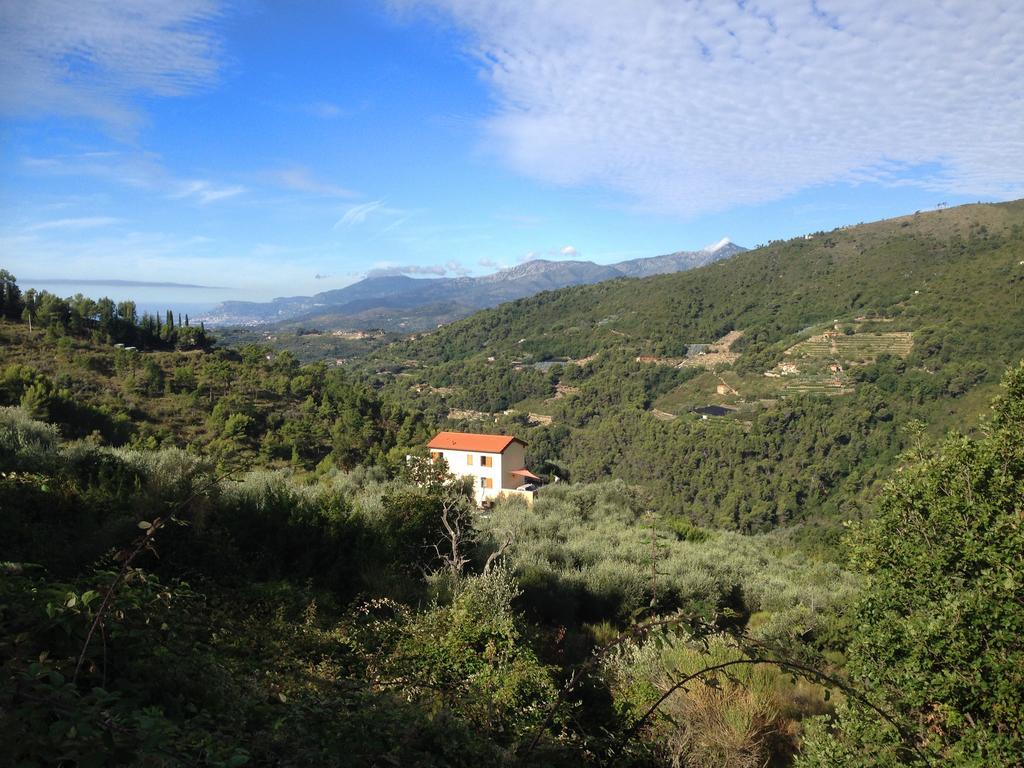 Agriturismo Monaci Templari セボルガ エクステリア 写真